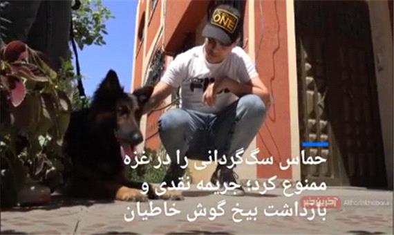حماس سگ‌گردانی را ممنوع کرد؛ جریمه نقدی بیخ گوش خاطیان